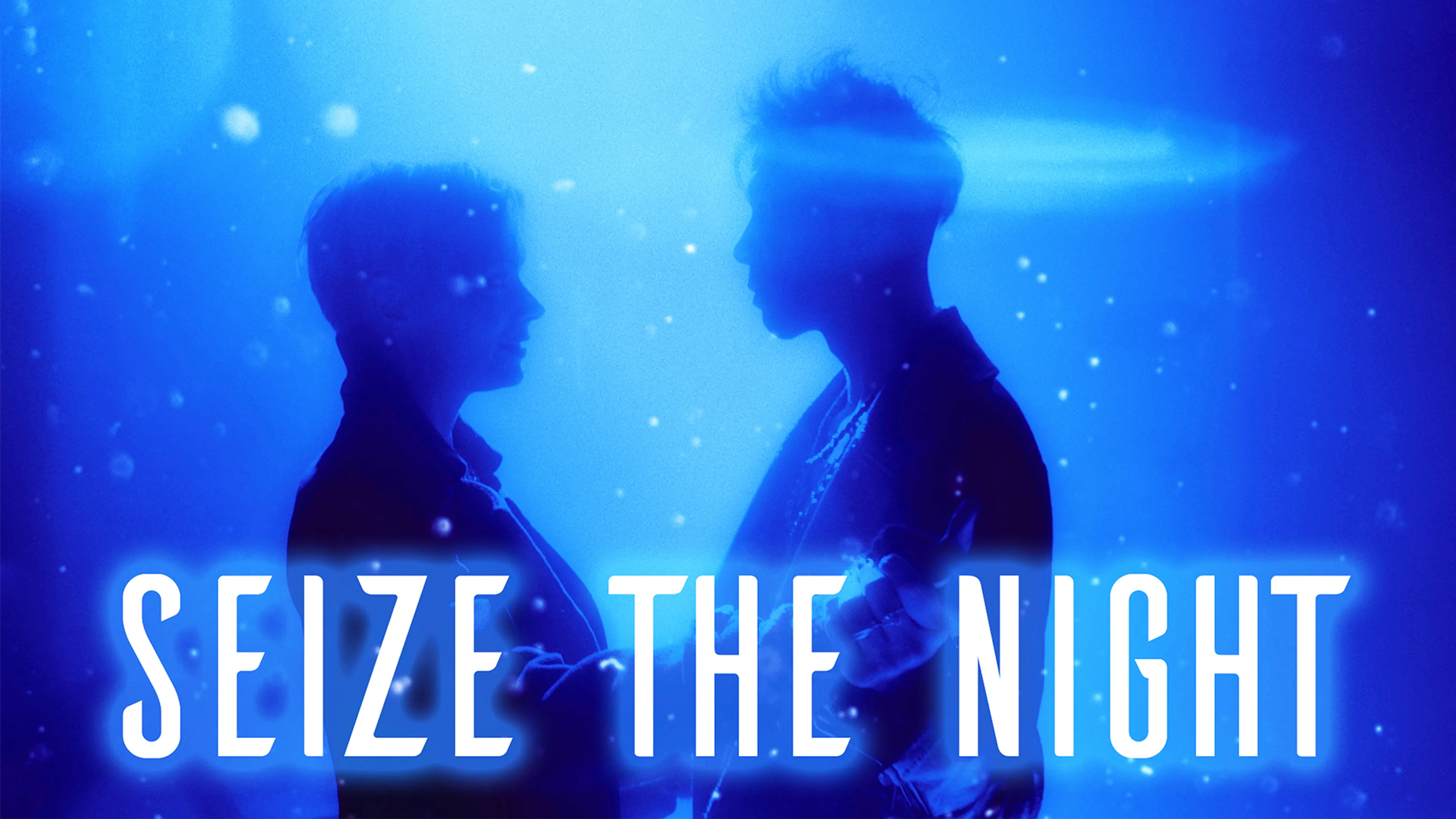 Seize the Night poster